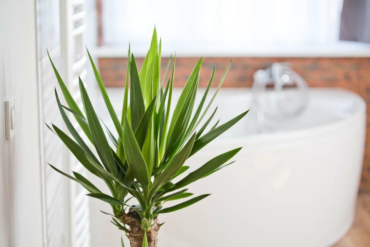 Apartament R&b Poznań